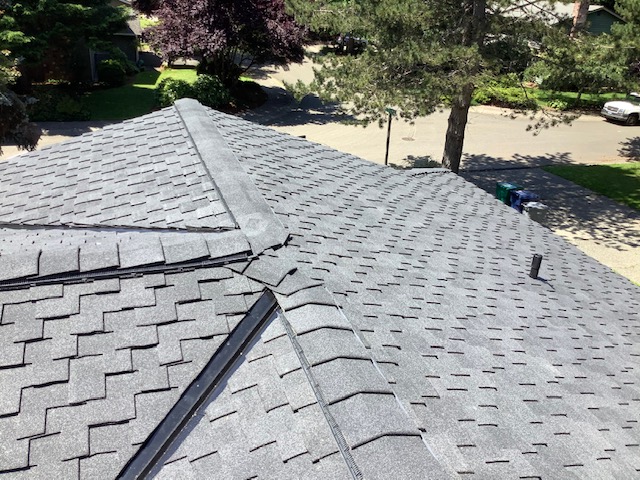 roof cleaning in seattle