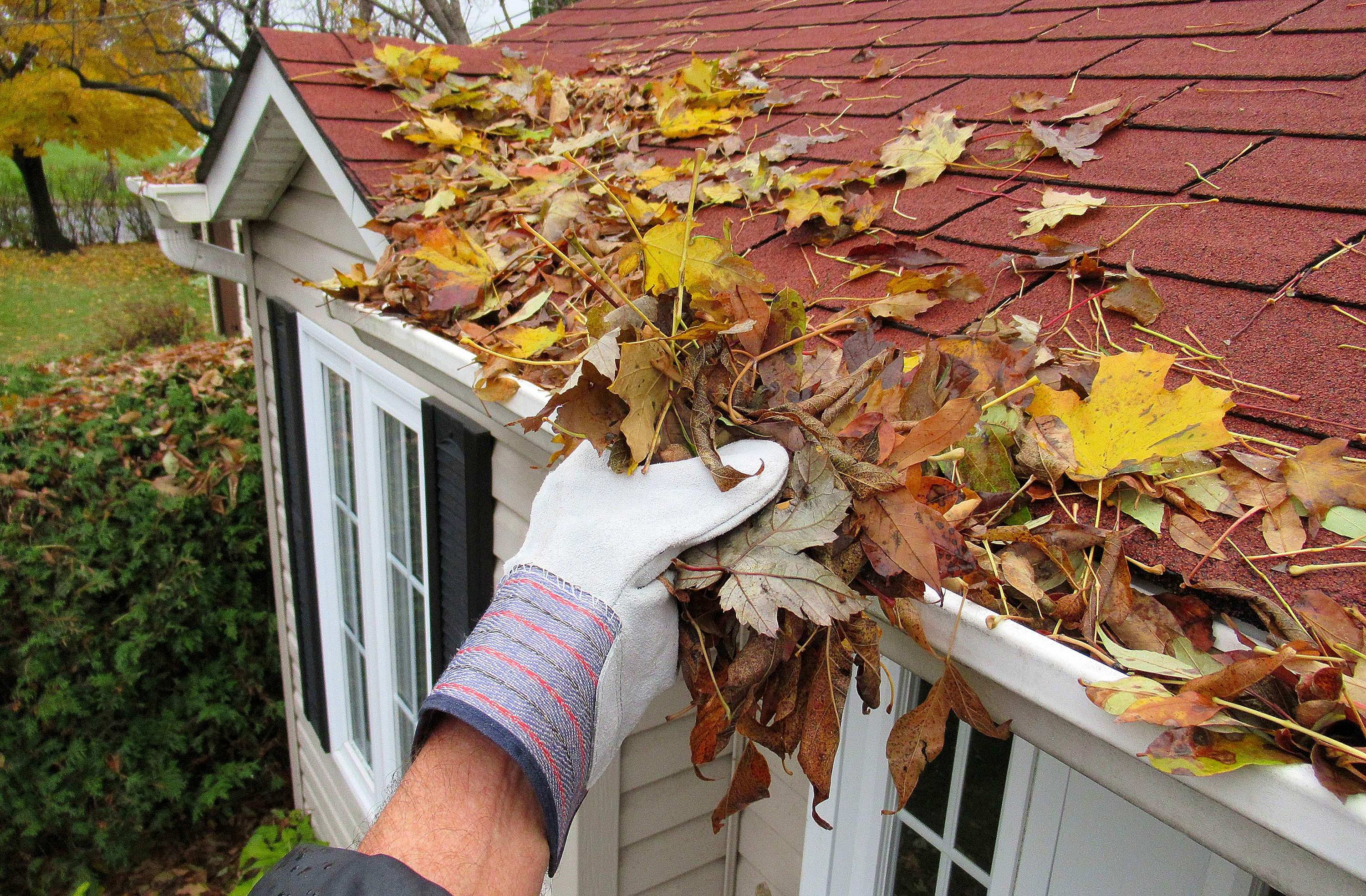 gutter cleaning service in seattle