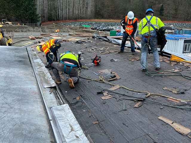levine-2 roof cleaning in seattle