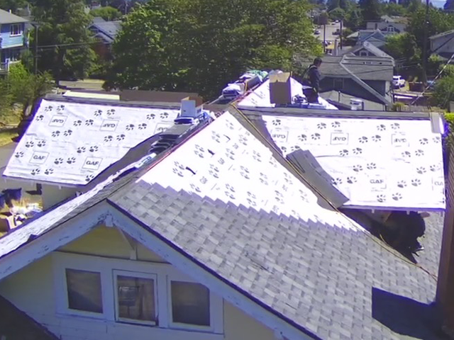 IMG_4222 roof cleaning and maintenance services